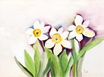 Three Daffodils